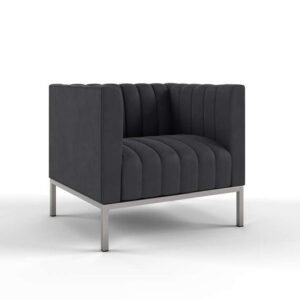 astonia-single-seater-2