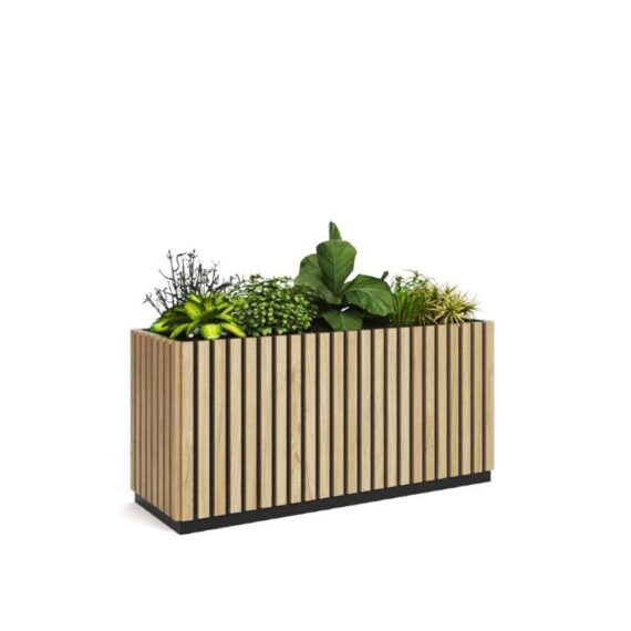 magnolia-planter-box