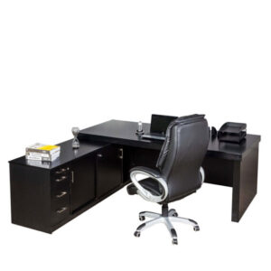 ceo-3